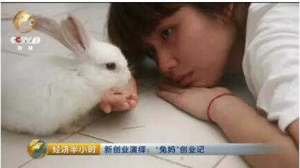 【新鲜】你以为她只会养兔子？这才是创业的真相！