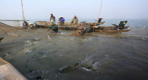 山东威海：将调整渔业捕捞和养殖业油价补贴政策