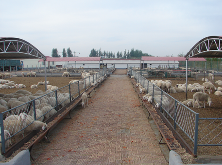 2016年上半年全国畜牧业生产形势分析会在天津召开