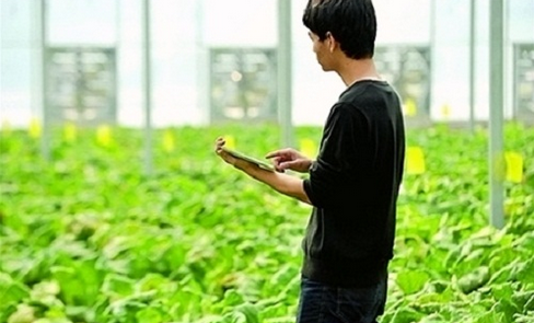 辽宁出台《意见》，到2020年农业标准化生产率将达70%以上