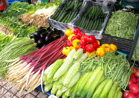 2016年甘肃省蔬菜最新价格