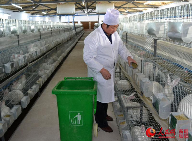 新疆农民专业合作社养殖肉兔富农家