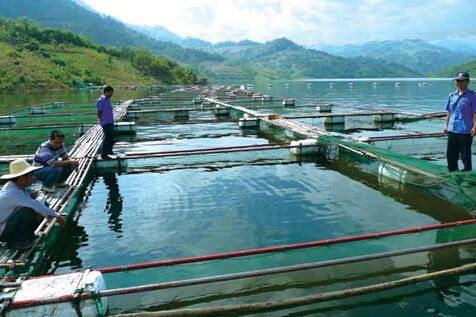 预计四川省今年水产养殖面积将增加1.33万公顷