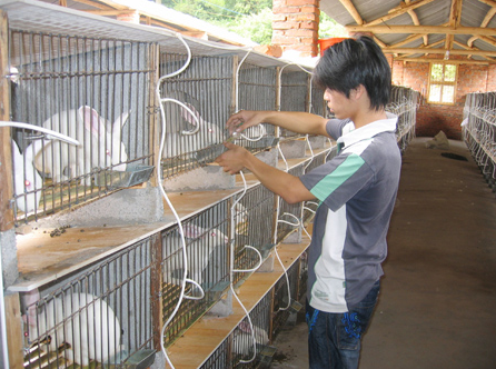 青海都兰县大力扶持农户发展獭兔养殖，促进脱贫致富