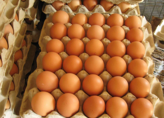2016年鸡蛋价格走势