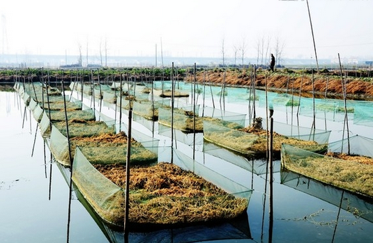 湖南郴州市部署水产养殖动植物病情测报工作
