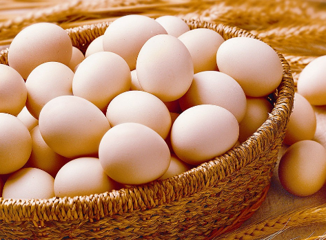 鸡蛋今年的价格行情