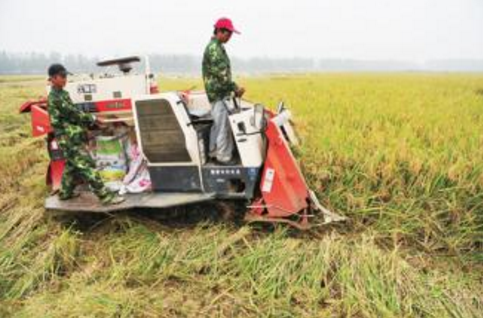 河北饶阳县20多家农机合作社使秋收种麦基本实现机械化