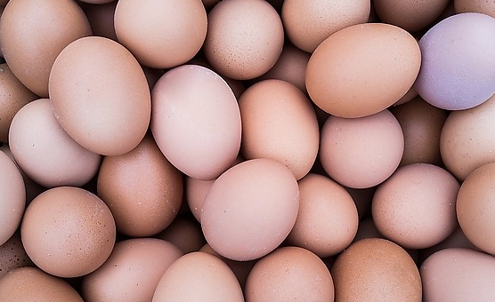 2016年鸡蛋价格最新行情：
