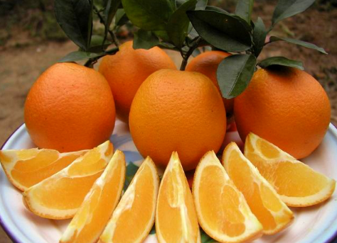 赣南脐橙成功入选2016年全国名优果品区域公用品牌名单