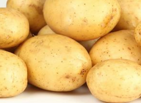 内蒙古乌兰察布：“马铃薯加燕麦”新型产业模式走出增收新路子