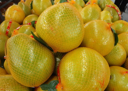 湖北宜都：3000多亩洋溪蜜柚喜获丰收
