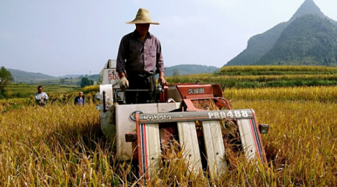 宁夏成为全国首个实现水稻生产全程机械化省区