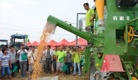 张家口市春玉米籽粒直收技术试验喜获成功，属河北省首例