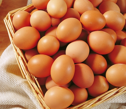 2016年鸡蛋价格行情