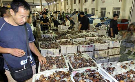 上海最大海鲜水产批发市场将于10月份整体关闭