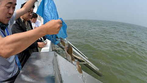 全国水产技术推广总站在山东放流221.7万尾牙鲆苗种