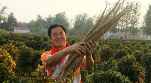 山西长治：扎实搞好特色农业产业精准扶贫