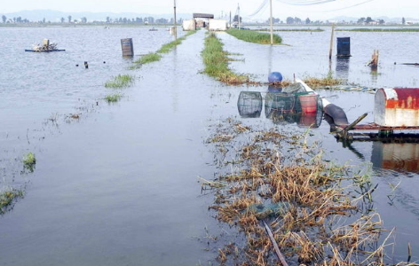 福建福州：受灾水产养殖业补助标准一律按上限执行