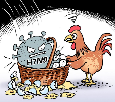 英国一养殖场暴发禽流感疫情，现已被关停