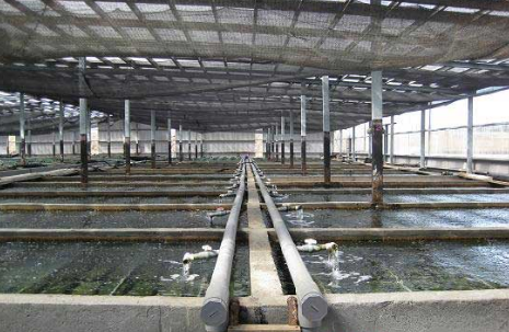 天津静海区：实现养殖粪污减量化和循环再利用