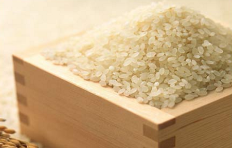2016年稻米价格行情