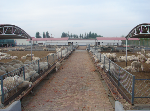 辽宁北票市：以绿色发展为理念，建立高产高效现代畜牧业