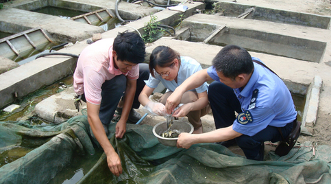山东齐河县：四项措施规范水产苗种生产行为