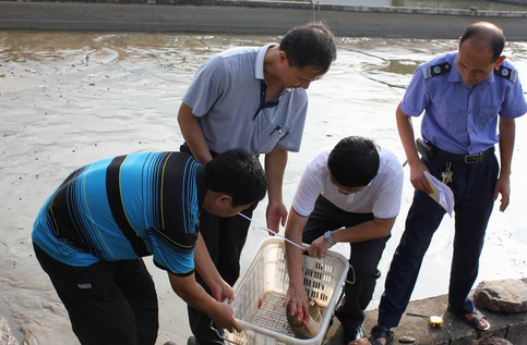 内蒙古开展畜禽水产品兽药残留超标专项整治行动
