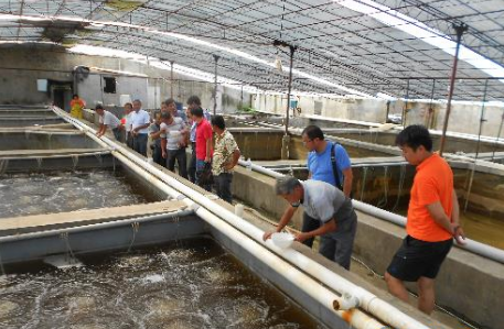 美国水产专家到丹阳市指导白对虾养殖生产