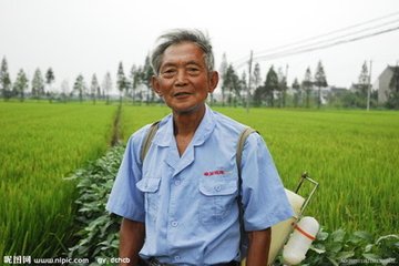 50岁以上农民成农业“主力军” 中国农民亟需转型