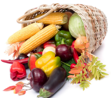 宁夏签订6项蔬菜产销大单，使进蔬菜价格更加平稳