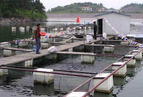 浙江岱山县举办水产养殖技术培训班，促进渔农业增效