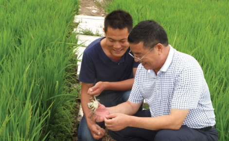 陕西韩城市： 2017年计划推广稻蟹生态种养殖500亩