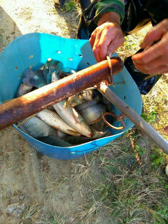 农村抽干鱼塘捕鱼续集，除了棺材板和猪头骨，还有这些