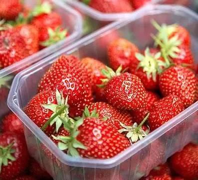 正值草莓热卖时，这些关于反季节草莓的谣言，你都中了哪几条？