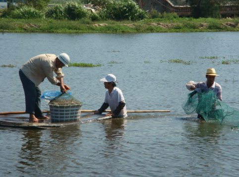 广西钦州：水产专家到塘头现场开展生态对虾养殖技术培训