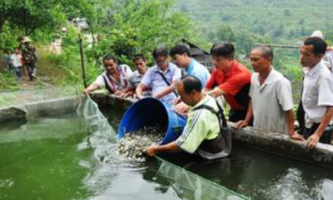 陕西铜川市宜君县重点示范户发放鱼苗，促进水产养殖业健康发展