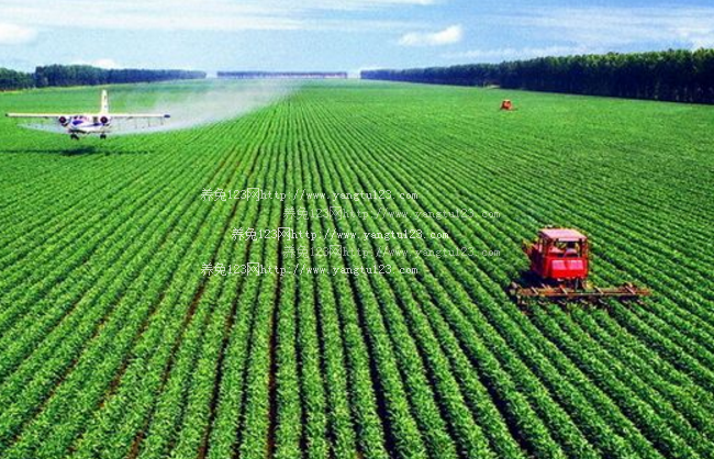 2018年农业保险最新政策：安徽黄山市政策性农业保险让农户吃上“定心丸”