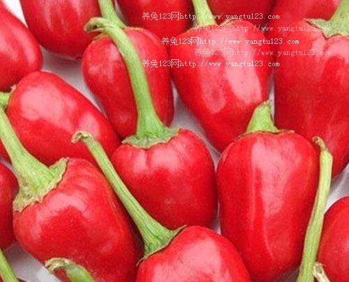 红泡椒多少钱一斤?2018年红泡椒种植前景及价格行情分析