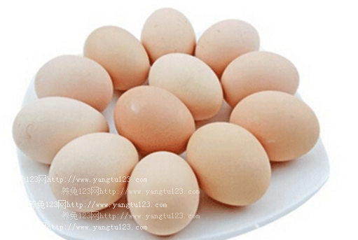 2018年鸡蛋价格多少钱一斤？最新鸡蛋价格趋势分析