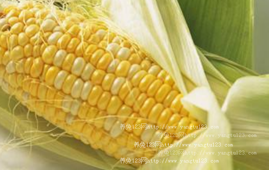 2018年玉米多少钱一斤？2018玉米价格行情走势预测