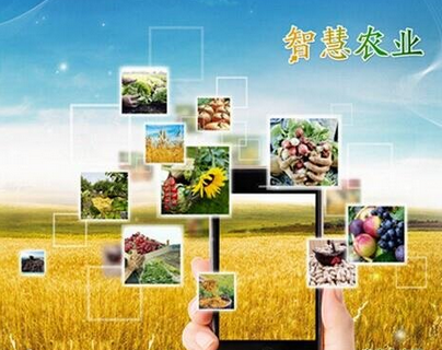 江苏海门：“智慧”农业成发展方向