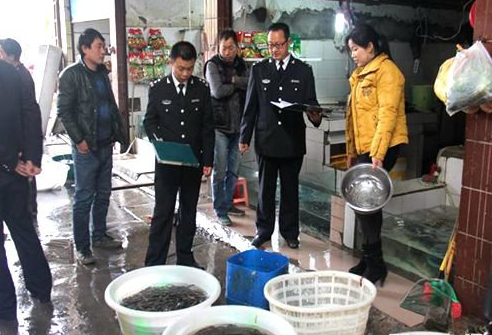 湖南桃江县开展水产品质量安全专项整治行动