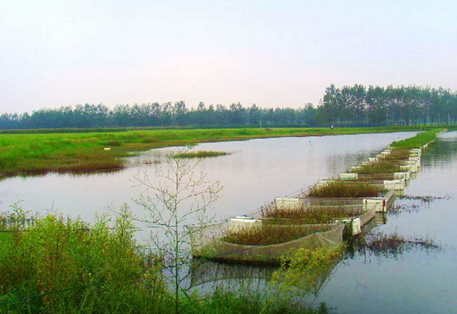 北京市渔政站组织宣传水产养殖质量安全