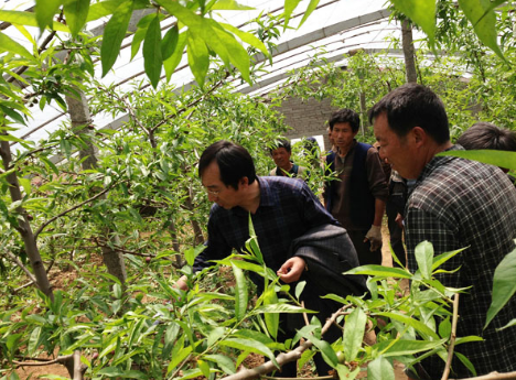 浙江长兴县开展果树栽培培训班，为农增收打下良好基础