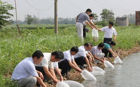 湖北咸宁：投入1.1亿元“五抢”渔业灾后复产工作
