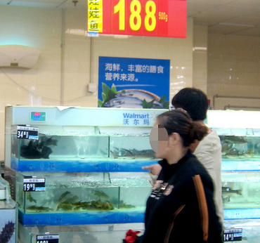云南昆明：网友爆料超市卖娃娃鱼，负责人称人工养殖有标识牌