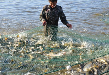 四川2020年渔业总产值将实现560亿元