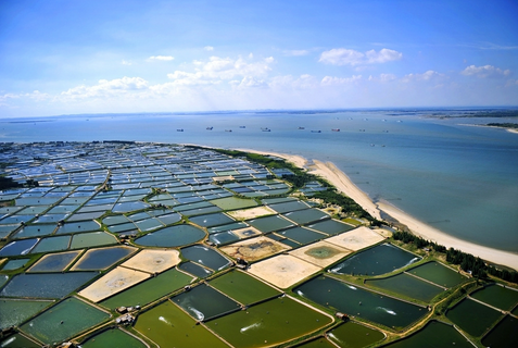 广西合浦县发展对虾养殖面积12.2万亩